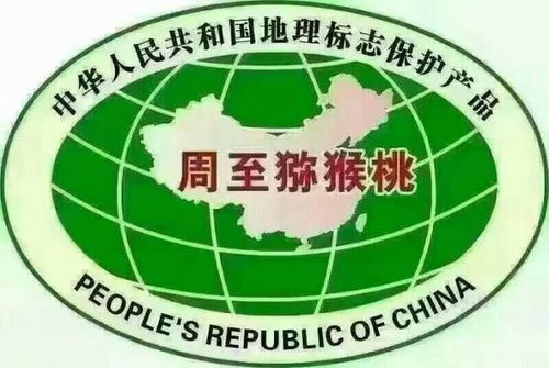 乳酸菌肥料技術賦能，陜西獼猴桃品質躍升達出口標準