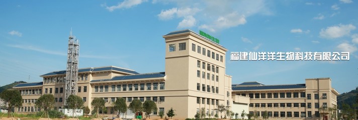 福建仙洋洋生物科技 深耕生物科技研發，引領健康產業未來
